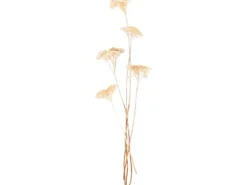 Trockenblume Achillea* Vasen
