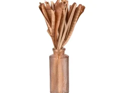 Trockenblumen in Vase Desert Flower 30 cm