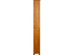 vidaXL Bücherregal 6 Fächer 52x22x180 cm Massivholz Eiche* Regale Massivholz