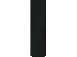 vidaXL Bücherregal/Raumteiler Schwarz 40x35x135 cm Massivholz Kiefer