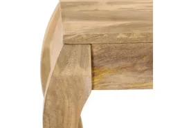 vidaXL Beistelltisch 45 x 45 x 40 cm Mangoholz Massiv* Tische