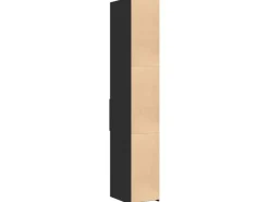 vidaXL Highboard Schwarz 30x42,5x185 cm Holzwerkstoff 846237