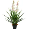 vidaXL Künstliche Cymbidium Orchideenpflanze mit Topf 100 cm Grün* Kunstpflanzen