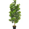 vidaXL Künstliche Pflanze Lorbeerbaum mit Topf Grün 120 cm Modell 1* Kunstpflanzen