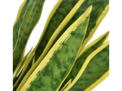 vidaXL Künstliche Sansevieria Bogenhanf mit Topf 65 cm Grün