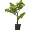vidaXL Künstlicher Bonsai Pinus mit Topf 60 cm Grün Modell 1* Kunstpflanzen