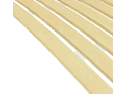 vidaXL Lattenrost mit 17 Latten 100x200 cm1123458