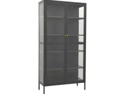 vidaXL Vitrine Anthrazit 90x40x180 cm Stahl und Gehärtetes Glas* Vitrinen