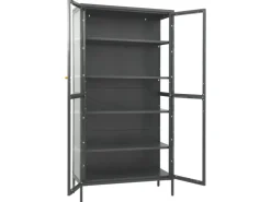 vidaXL Vitrine Anthrazit 90x40x180 cm Stahl und Gehärtetes Glas* Vitrinen