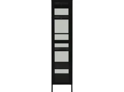vidaXL Vitrine Schwarz 90x40x180 cm Stahl und Gehärtetes Glas