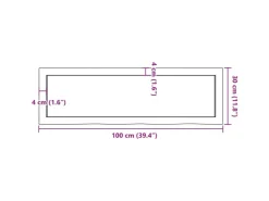 vidaXL Waschtischplatte 100x30x4 cm Massivholz Unbehandelt* Regale Massivholz