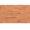 vidaXL Waschtischplatte 100x60x4 cm Massivholz Buche