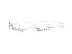 vidaXL Waschtischplatte 100x60x4 cm Massivholz Buche