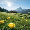 Komar Vlies Fototapete Alpenglück 400x280 cm