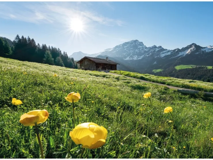 Komar Vlies Fototapete Alpenglück 400x280 cm