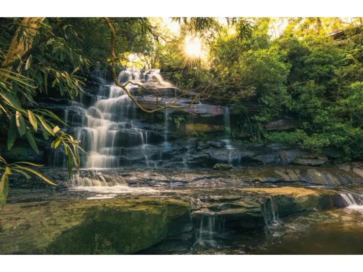 Komar Vlies Fototapete Golden Falls 450x280 cm