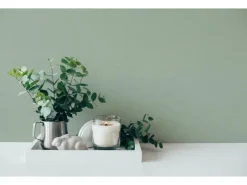 AS-Creation Vliestapete Uni Matt Leicht Strukturiert Grün FSC®* Dekorative Tapeten