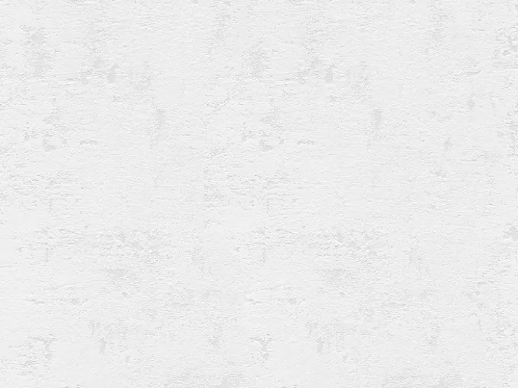 AS-Creation Vliestapete Used Look FSC®