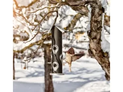 Windhager Vogelfuttersäule Saatmischung 35 cm